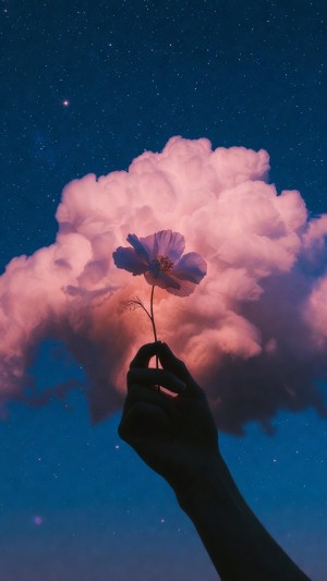 Silhouette holding a flower against a pink cloud and starry sky